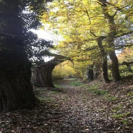 別荘 Spacious 8-bedroom *