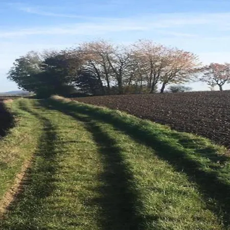 Spacious 8-bedroom 別荘 *