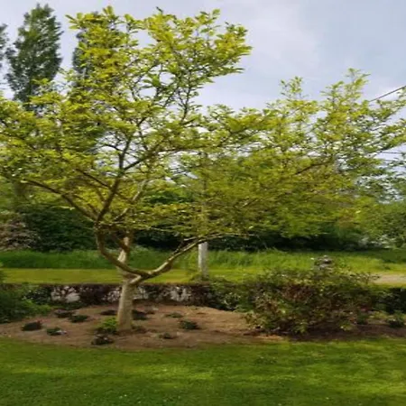 別荘 Spacious 8-bedroom