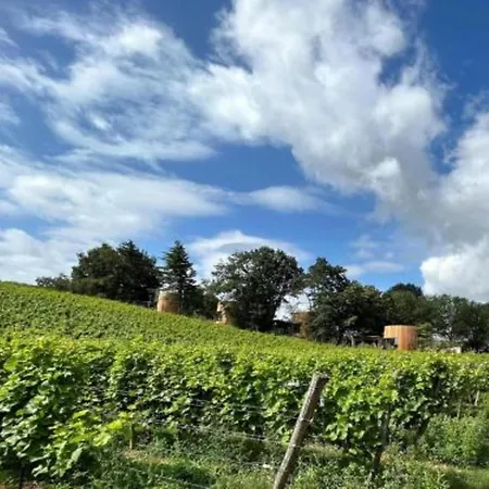 Charming Surrounded By Nature In Durbuy Holiday home *