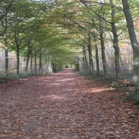Casa vacanze Spacious 8-bedroom Barvaux-sur-Ourthe