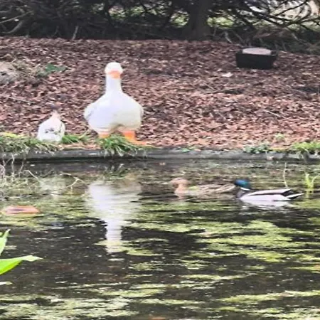 Spacious 8-bedroom *