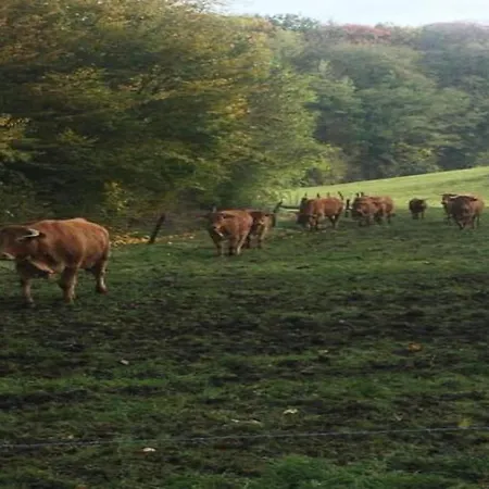 Spacious 8-bedroom バルヴォー